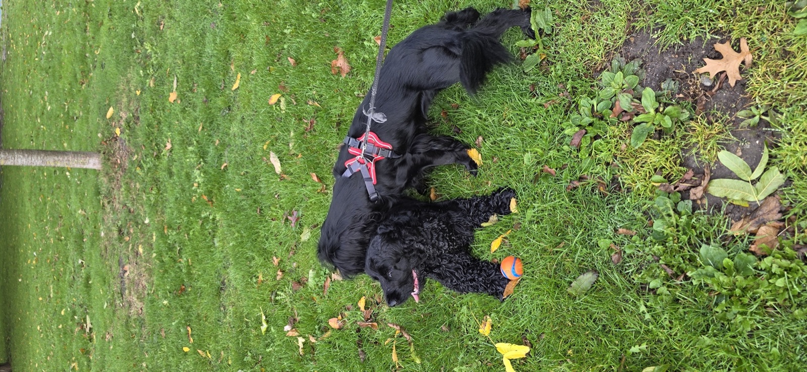 Siya with a friend in the park
