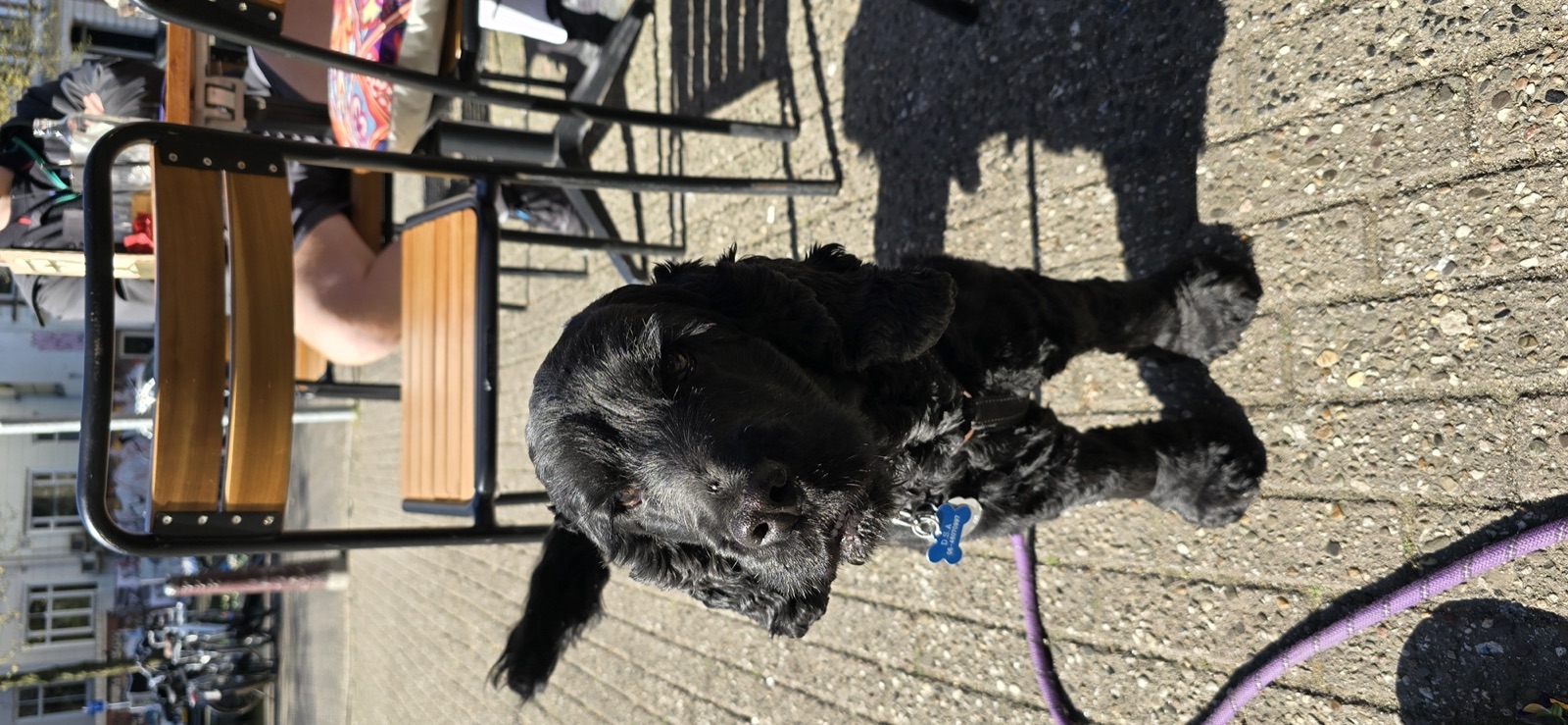 Siya on a sunny cafe terrace