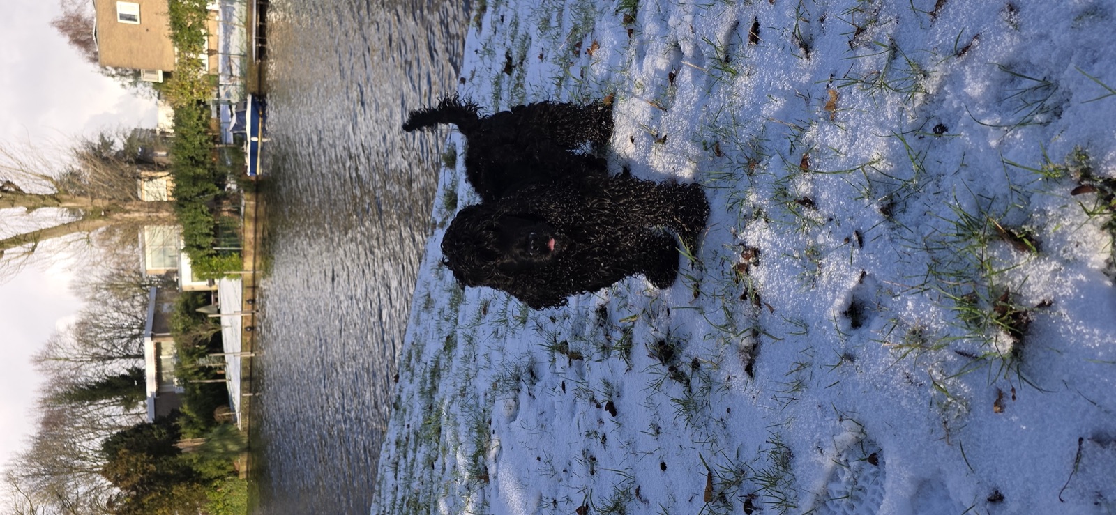 Siya in the snow by the Diemen canal