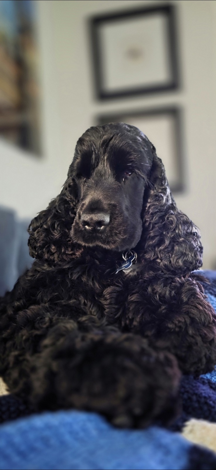 Siya at home on the sofa